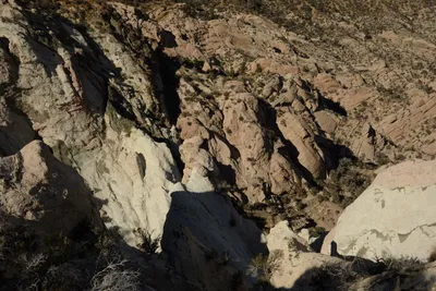 DSC_6278 (Large).JPG